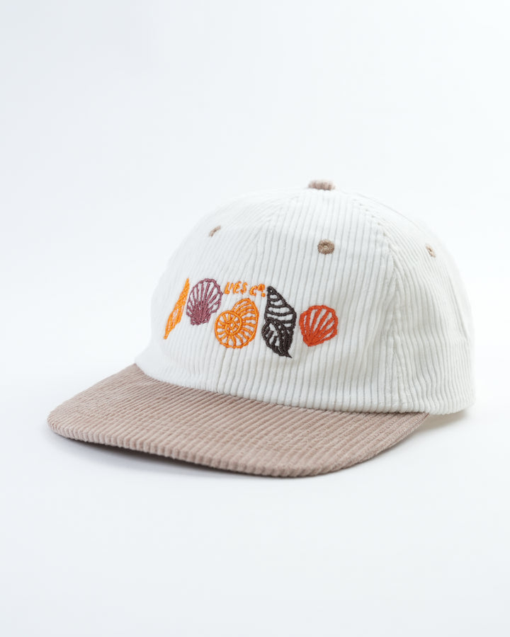 SUMMER SEASHELLS LID