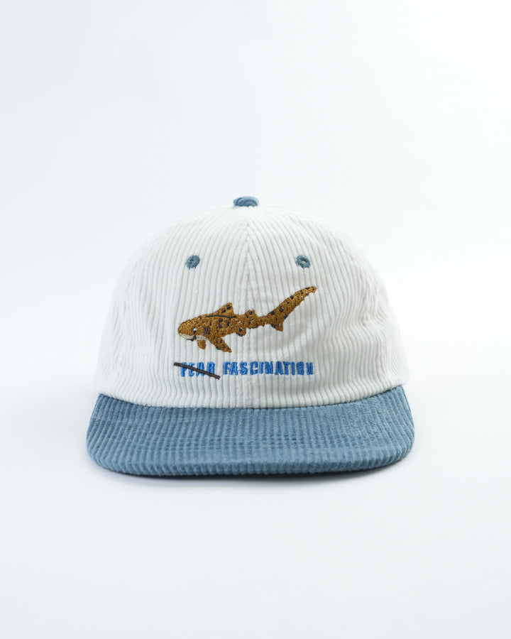 ZEBRA SHARK LID