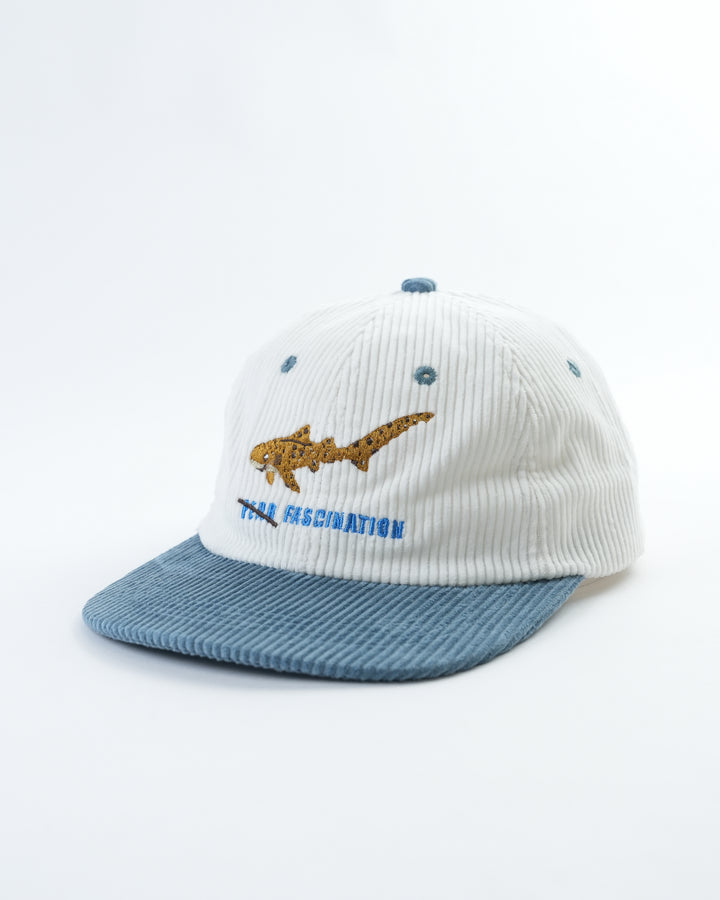 ZEBRA SHARK LID
