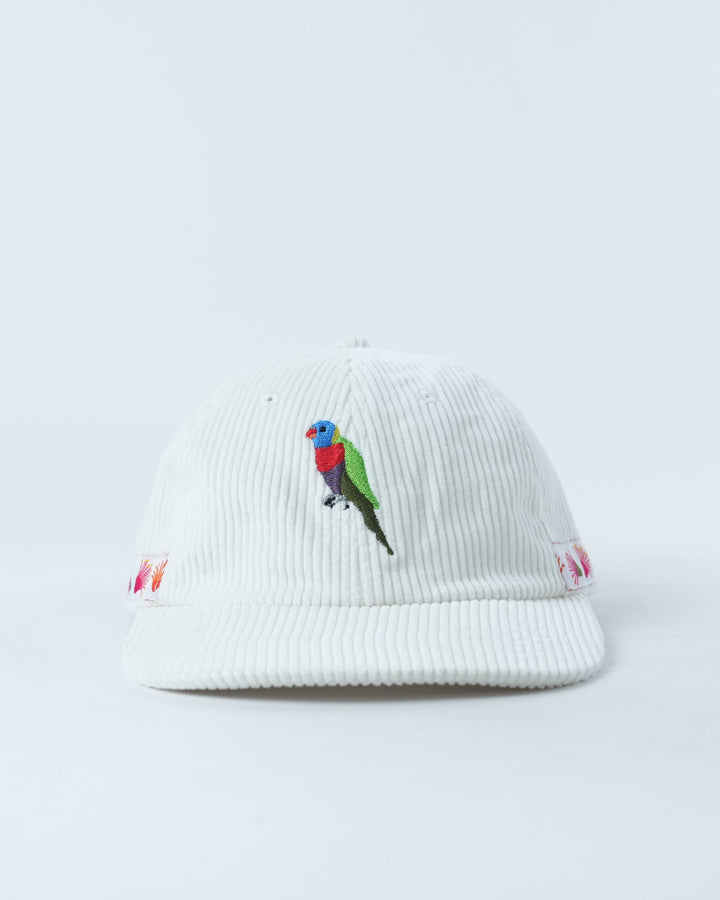 Rainbow Lorikeet Lid