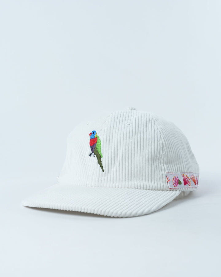Rainbow Lorikeet Lid