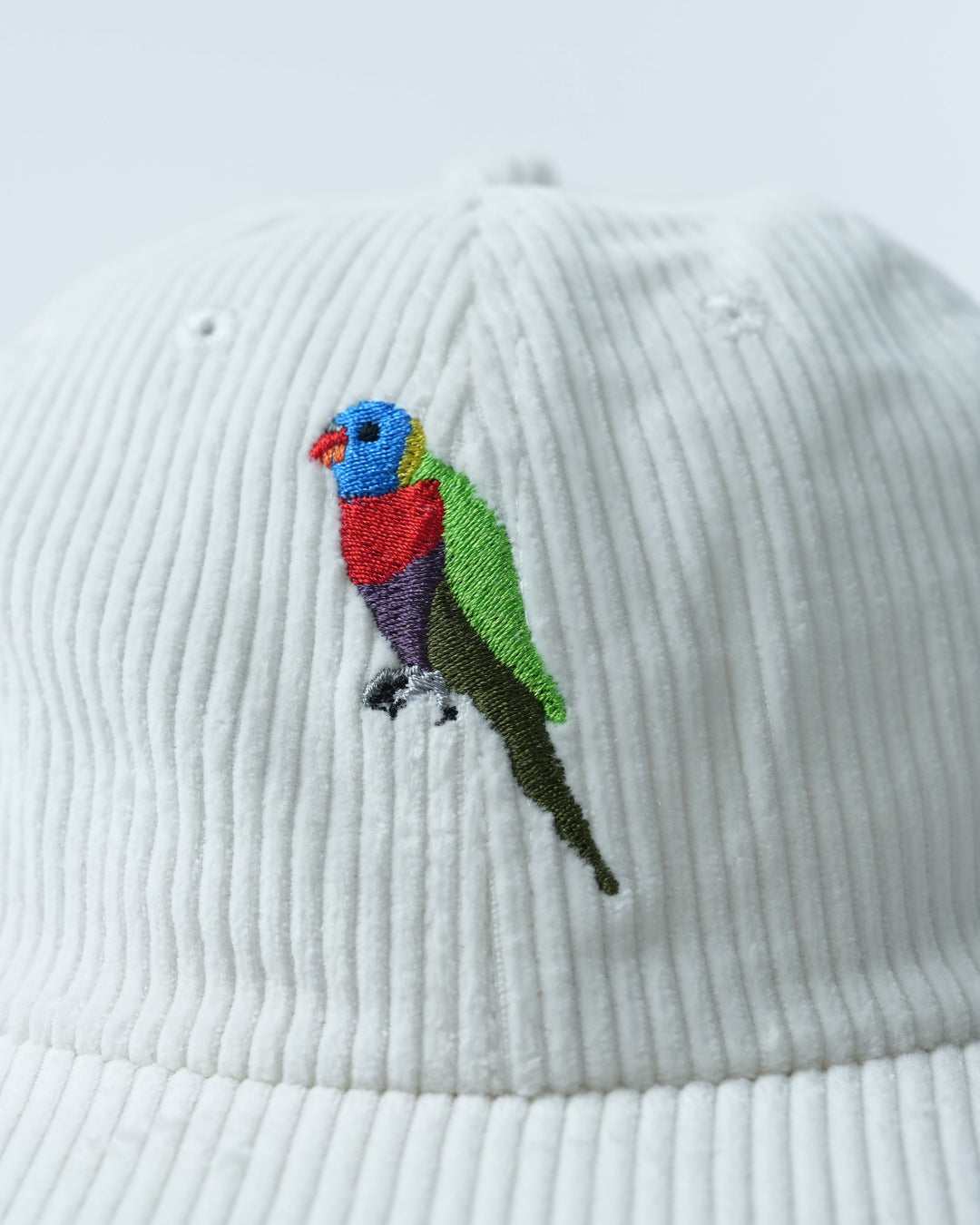 Rainbow Lorikeet Lid