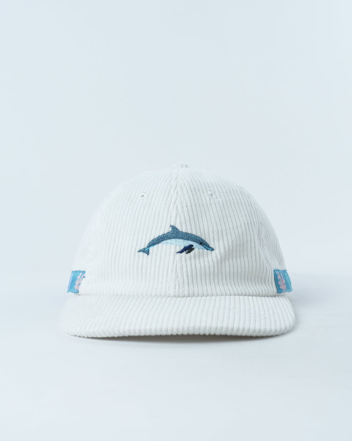 Cheeky Dolphin Lid