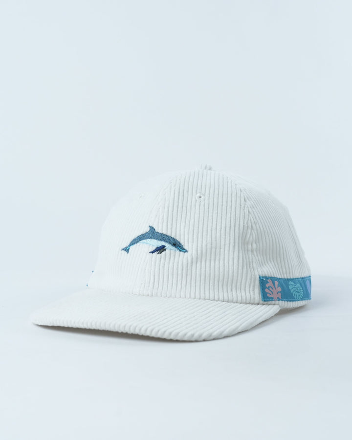 Cheeky Dolphin Lid