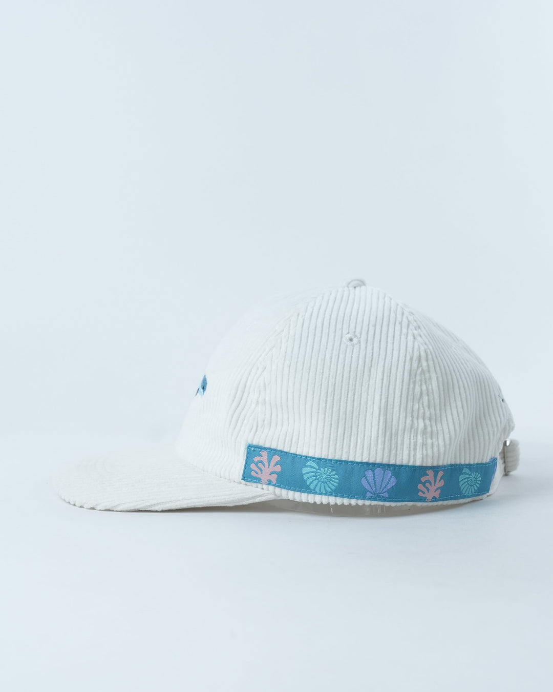 Cheeky Dolphin Lid
