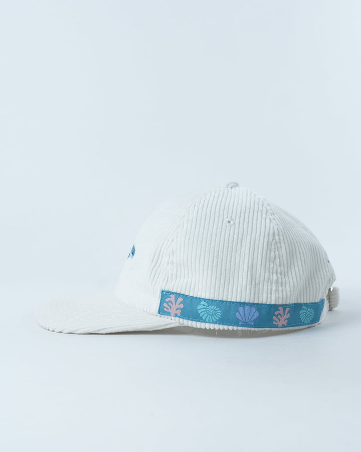 Cheeky Dolphin Lid