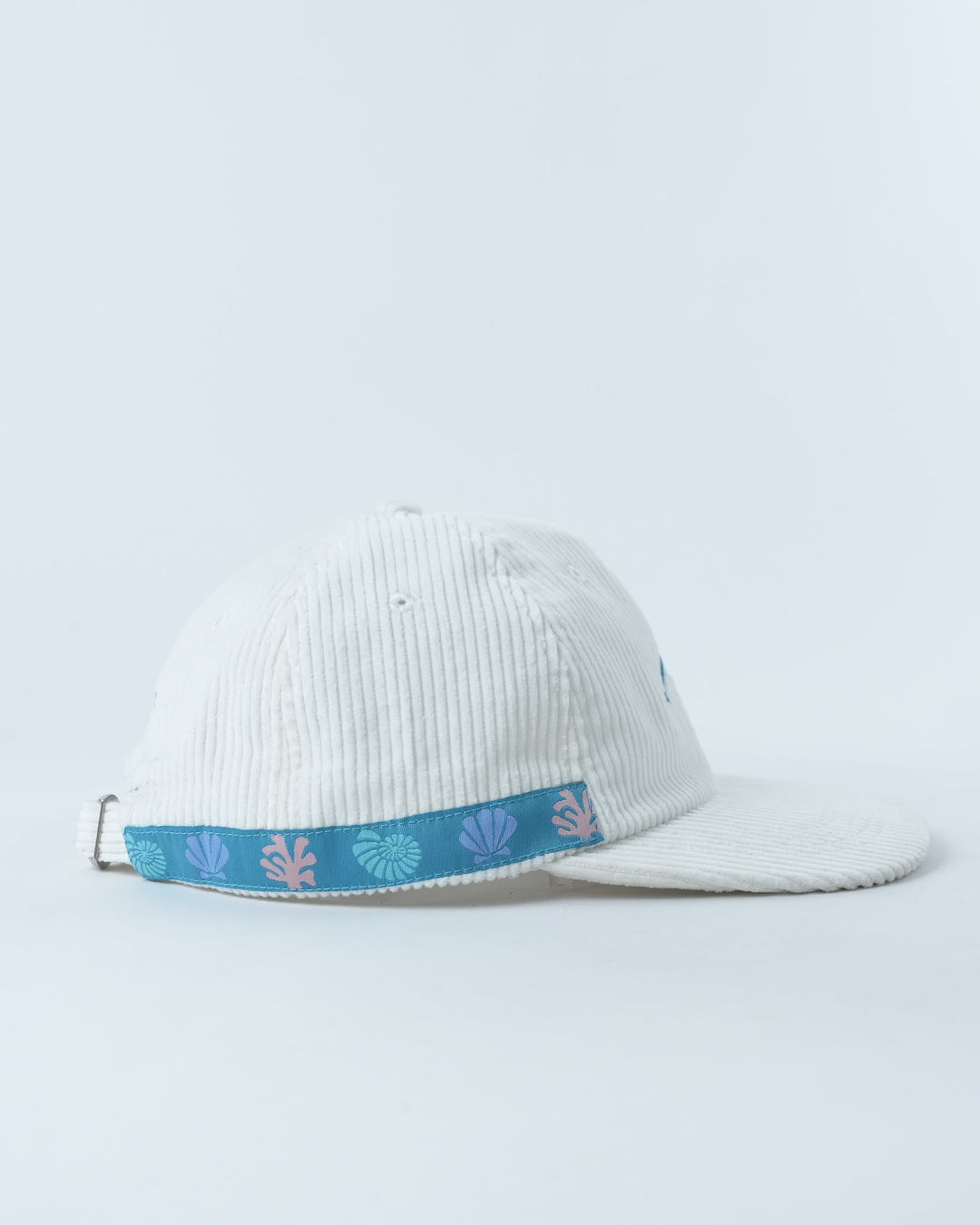 Cheeky Dolphin Lid