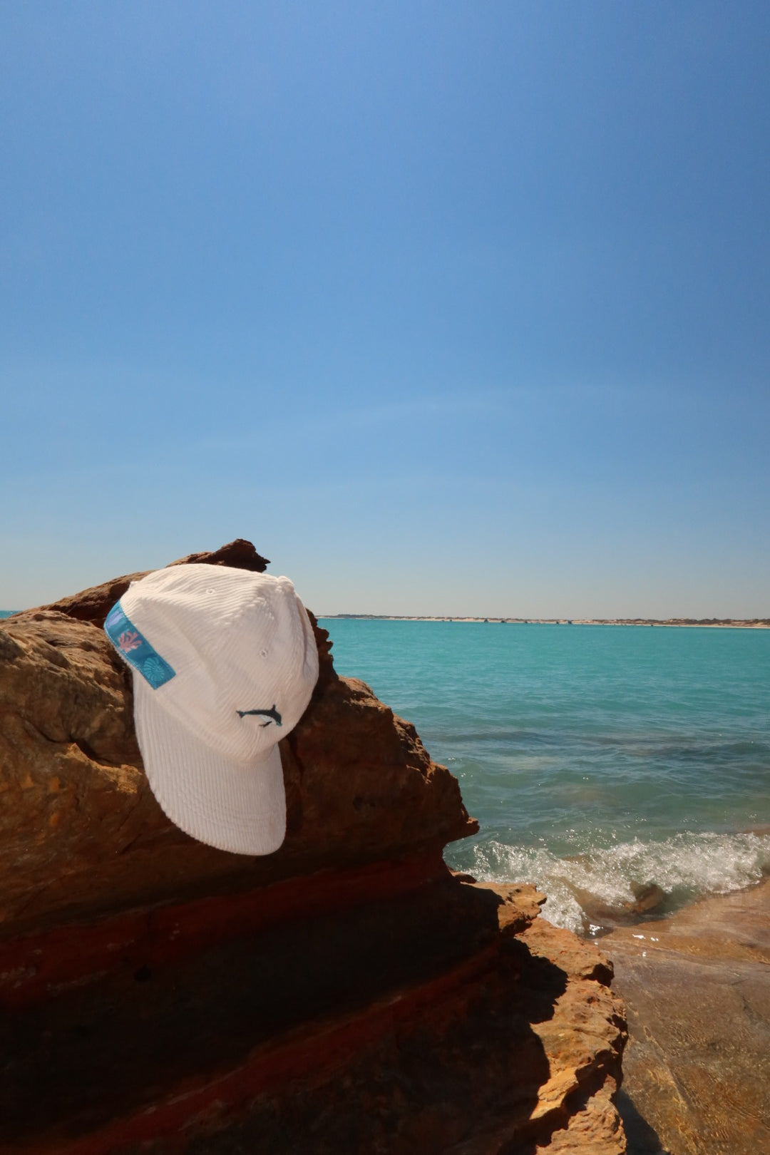 Cheeky Dolphin Hat