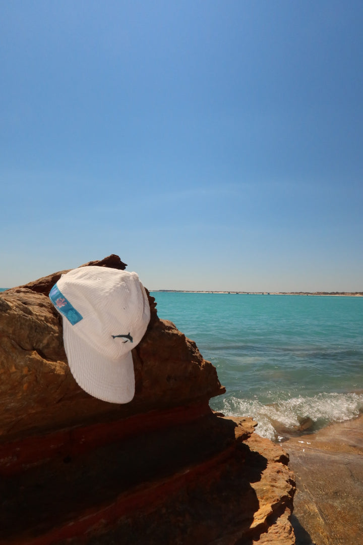 Cheeky Dolphin Hat