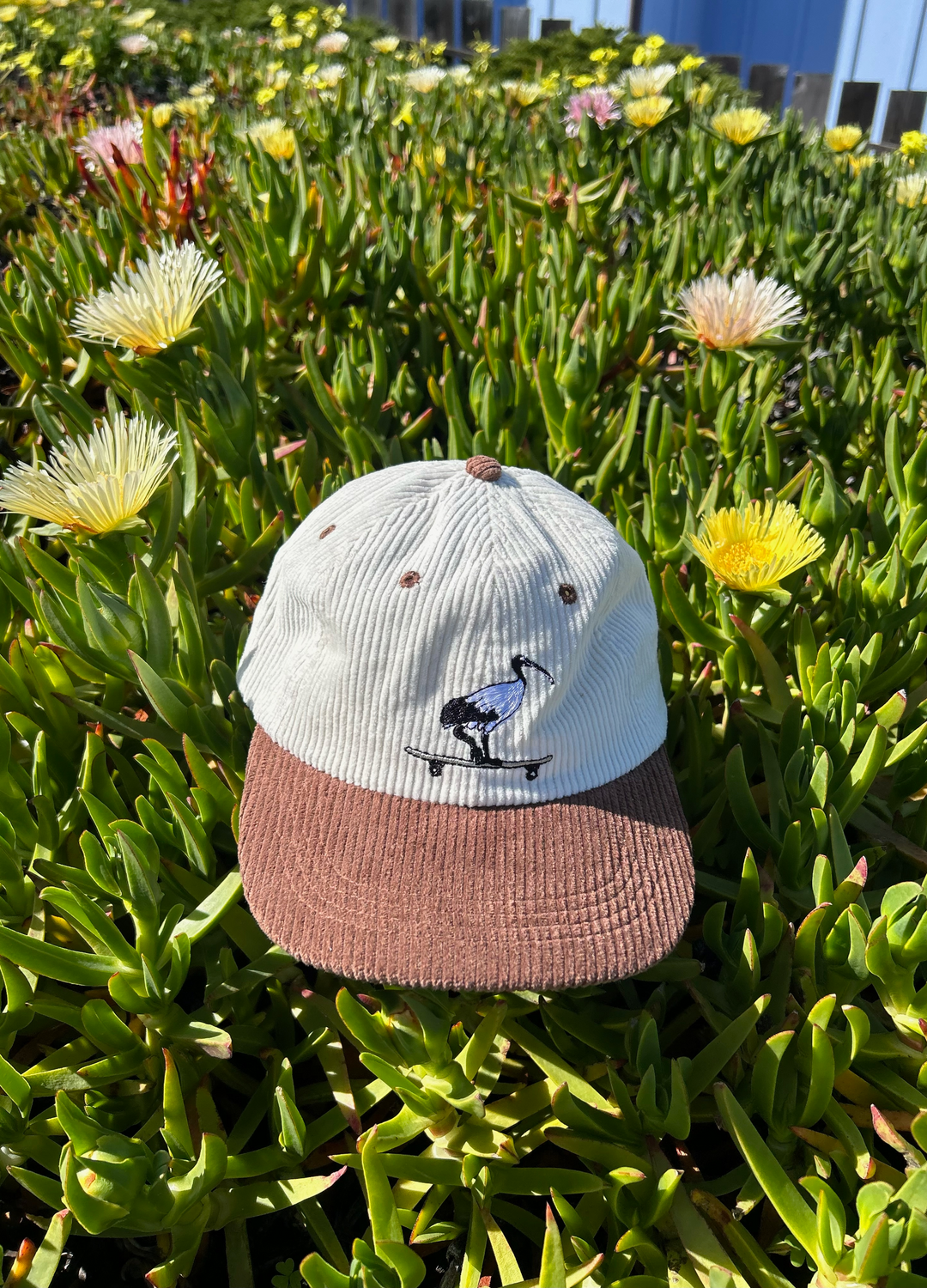 SKATEPARK SCAVENGER HAT