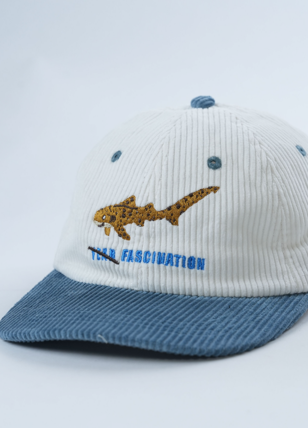 ZEBRA SHARK LID