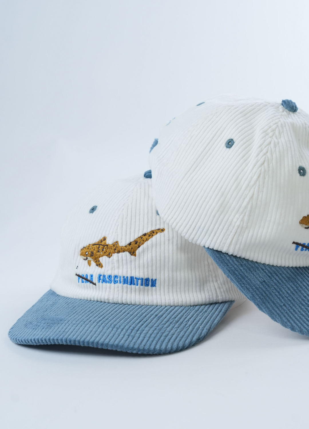 ZEBRA SHARK LID