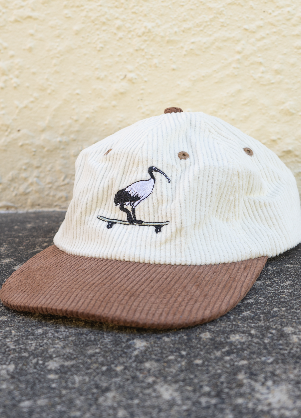 SKATEPARK SCAVENGER HAT - Lies Collective