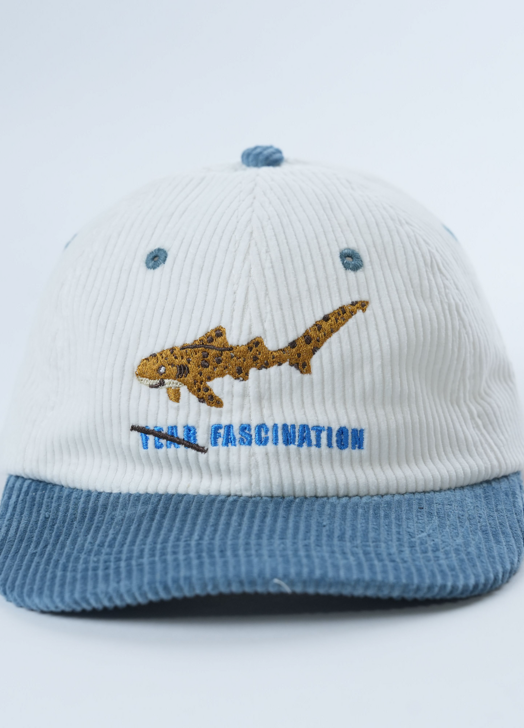 ZEBRA SHARK LID