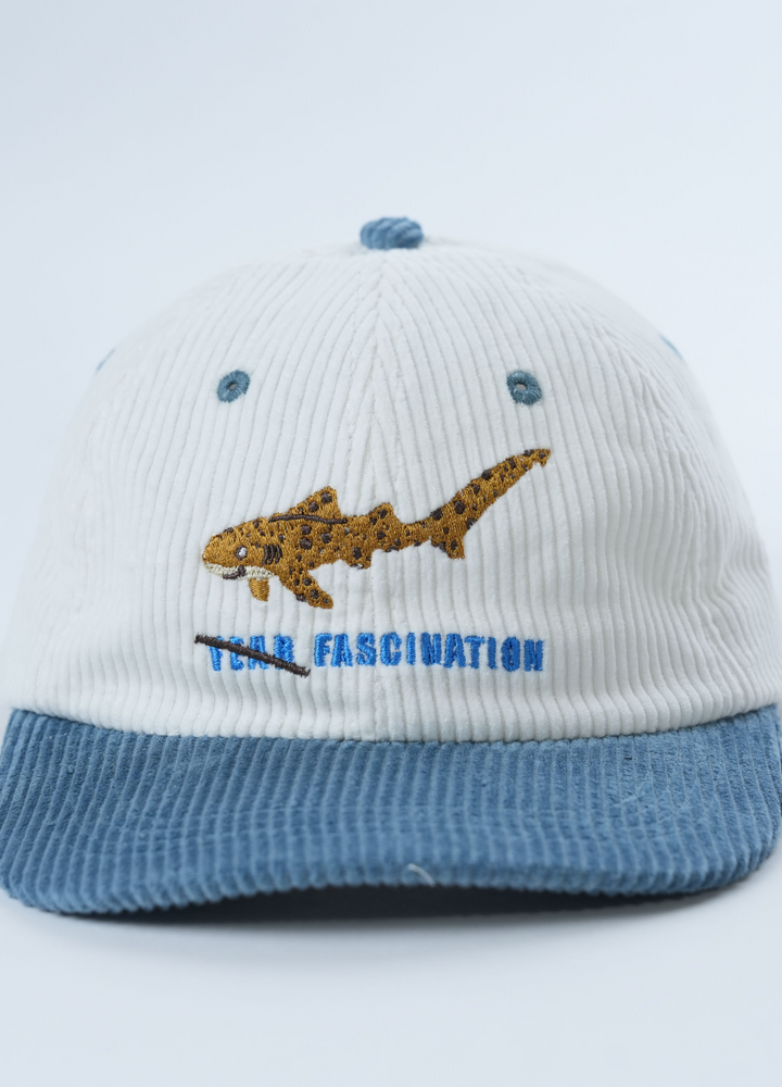 ZEBRA SHARK LID